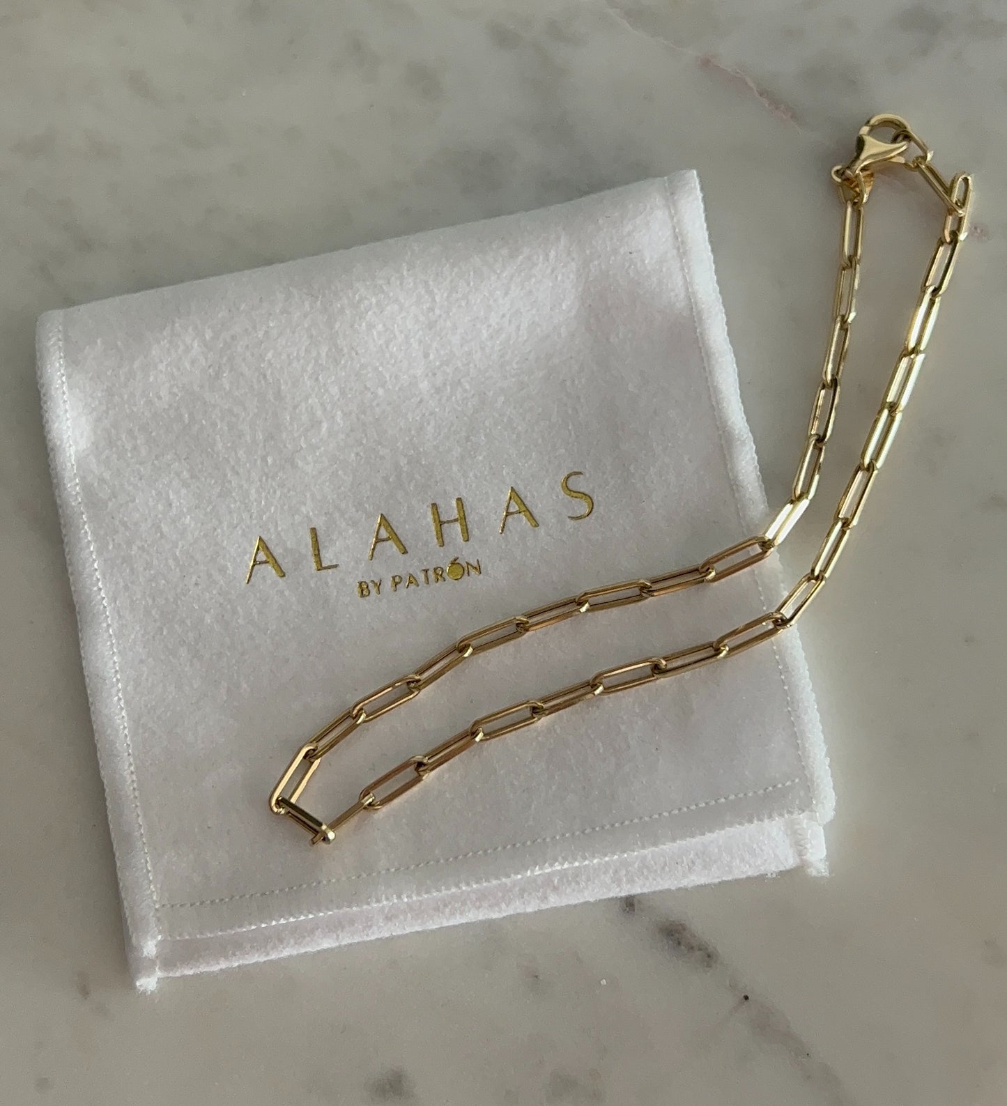 Paperclip Anklet